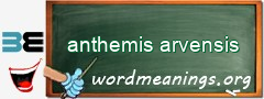 WordMeaning blackboard for anthemis arvensis
